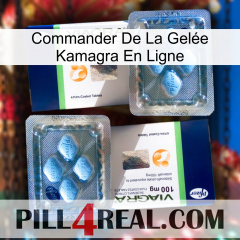 Commander De La Gelée Kamagra En Ligne viagra5
